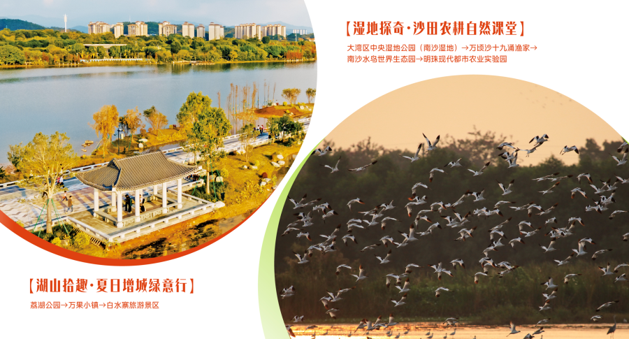 微信图片_20260710171529_7503_37