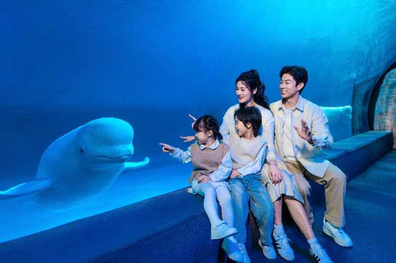 7.8大湾区首个“海洋魔法幻城”来啦!广州正佳极地海洋世界开启38天超长魔法戏剧盛宴6.png