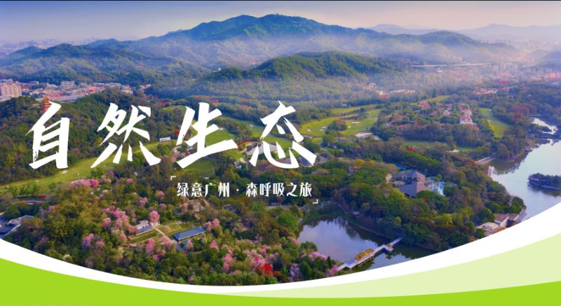 微信图片_20260710171455_7500_37
