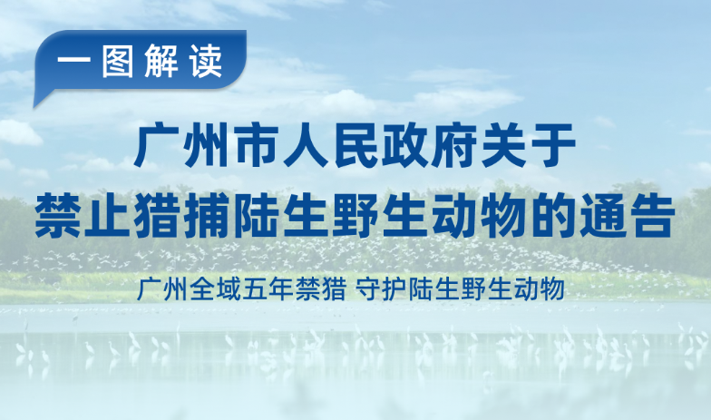 【⼀图读懂】《大阳城集团娱乐视频关于禁止猎捕陆生野生动物的通告》