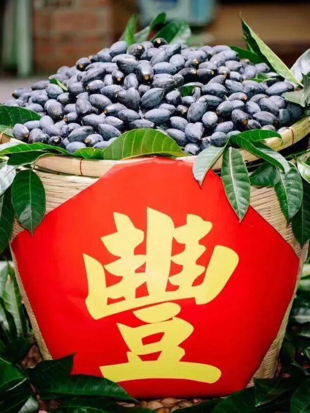 岭南非遗三墨7.jpg