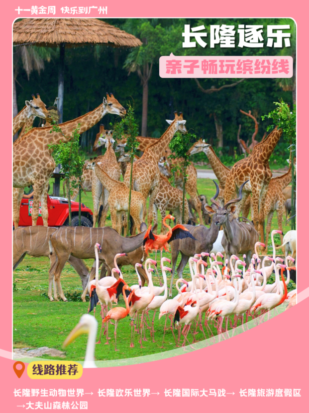 20条精品线路全攻略，四大主题带你玩转花城14.png