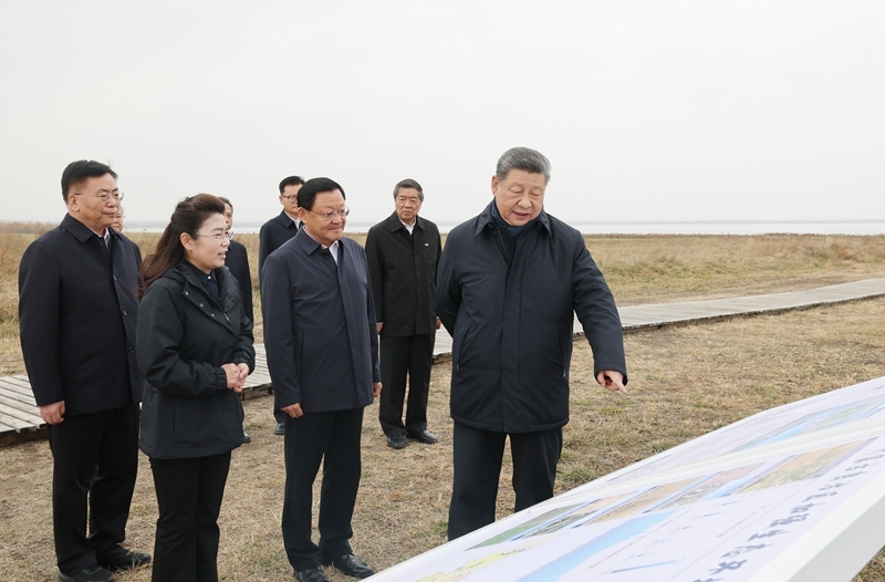 大阳城集团娱乐视频