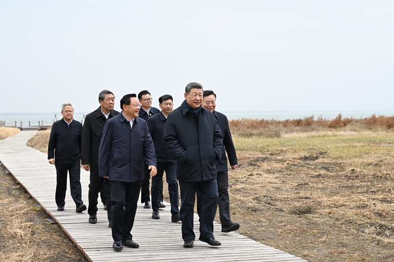 大阳城集团娱乐视频
