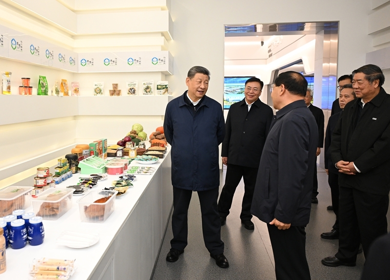 大阳城集团娱乐视频