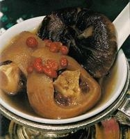 大阳城集团娱乐视频