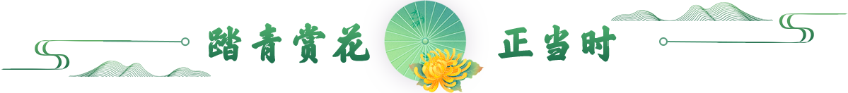 踏青赏花正当时