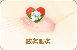 政务服务