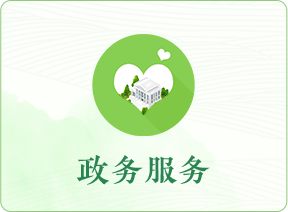 政务服务