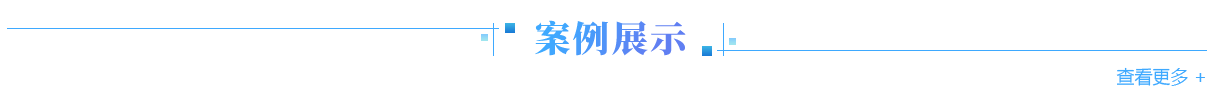 案例展示