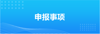 申报事项