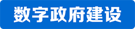 数字政府建设