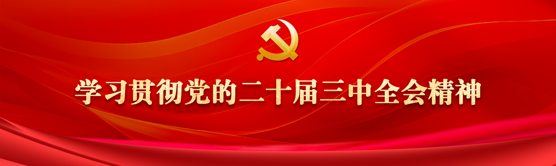 学习贯彻党的二十届三中全会精神