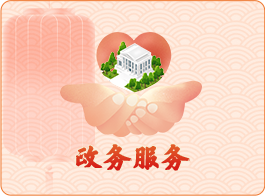 政务服务