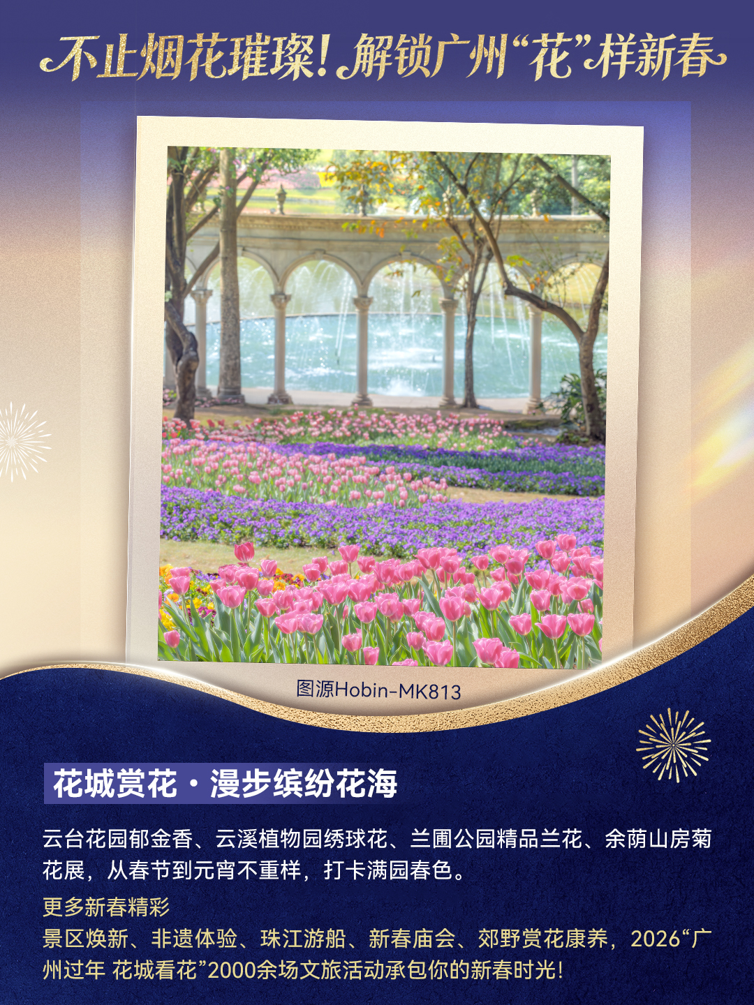 p8.jpg